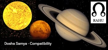 Dosha Samya - Compatibility
